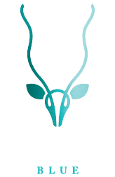 Nyala Blue